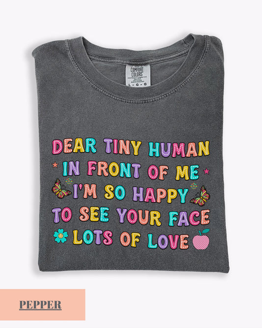 Comfort Colors® Dear Tiny Human Teacher T-Shirt, The Back To School Cute Colorful Teacher Shirt, Teacher Appreciation Gift
